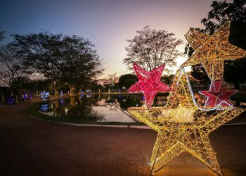 Decoração de Natal de Teresina tem árvore gigante, muita luz e cores