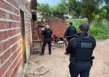 Polícia deflagra operação contra organização criminosa em Altos