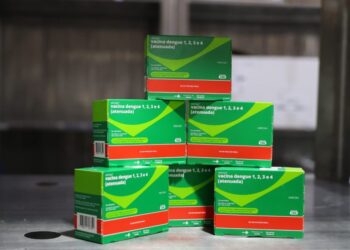 Piauí recebe 50 mil novas doses de vacina contra dengue; veja público