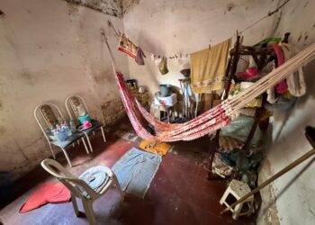 Polícia resgata idosa e 10 animais em situação de negligência em Parnaíba