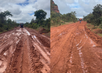 Nova rodovia pode beneficiar 120 mil hectares de produção agrícola no PI