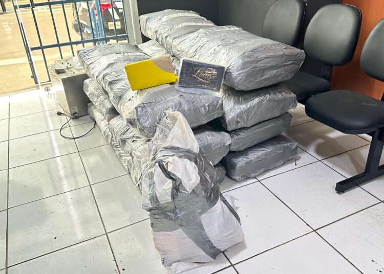 Polícias do MA e PI apreendem drogas em um sítio de Caxias