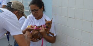 Veja locais de vacinação de animais nas zonas rurais de Teresina