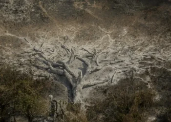 Mudanças climáticas já afetam 85% dos brasileiros, diz estudo