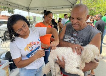 Veja locais de vacinação de animais neste sábado em Teresina