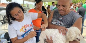 Veja locais de vacinação de animais neste sábado em Teresina