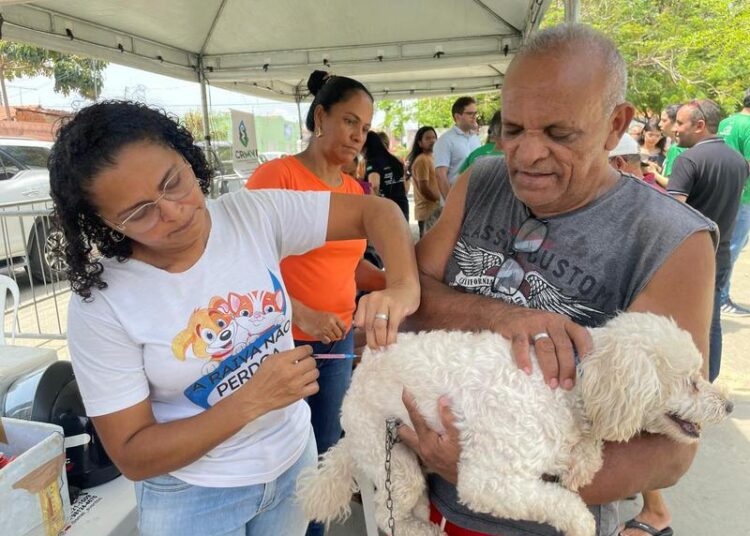 Veja locais de vacinação de animais neste sábado em Teresina