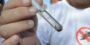 Prefeitura institui comitê técnico para combater a dengue em Teresina