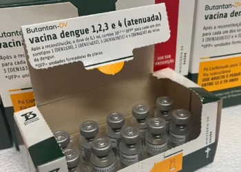 Ministério da Saúde suspende vacina contra dengue do Instituto Butantan