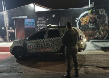 Polícia Militar prende homem por maus-tratos contra cadela