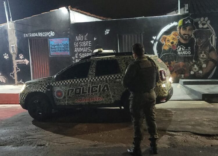 Polícia Militar prende homem por maus-tratos contra cadela