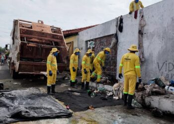 O delicado caso do homem que acumulou lixo até no telhado da casa