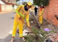 Teresina fará mutirão de limpeza para eliminar focos do Aedes Aegypti