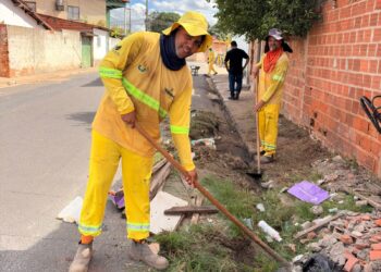 Teresina fará mutirão de limpeza aos sábados para eliminar focos do Aedes Aegypti