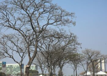 Piauí está sob alerta de perigo para baixa umidade do ar