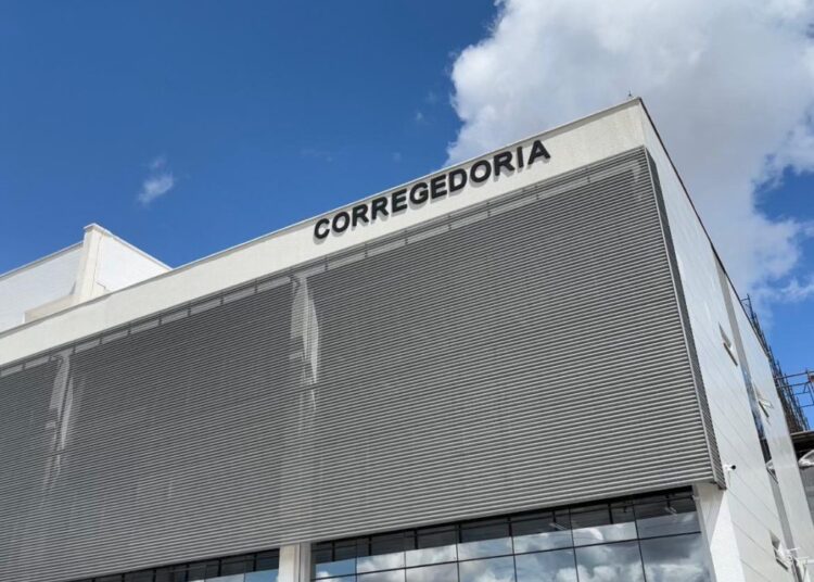Tribunal de Justiça do Piauí analisa medidas protetivas em tempo reduzido