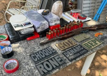 Operação policial conjunta PI-MA apreende drogas, armas e munições