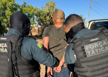 Polícia cumpre 13 mandados contra suspeitos de tráfico de drogas em três municípios do Sul do Piauí