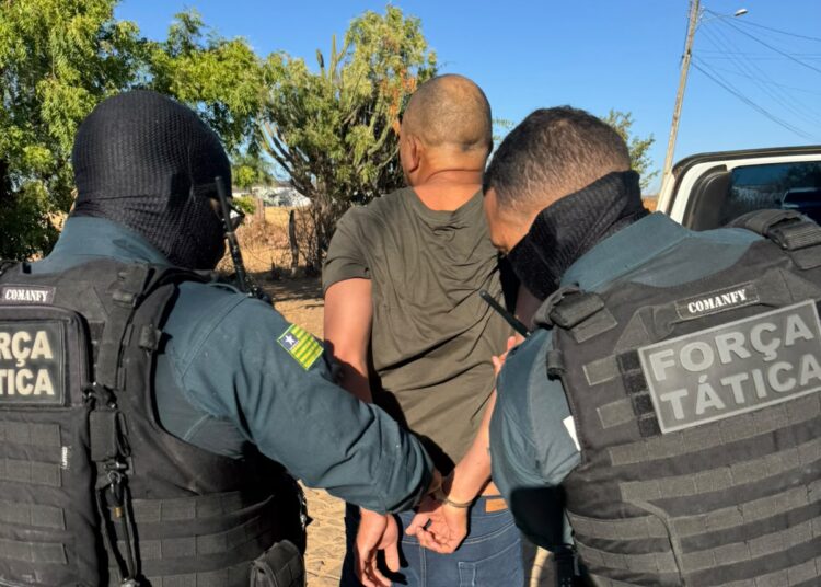Polícia cumpre 13 mandados contra suspeitos de tráfico de drogas em três municípios do Sul do Piauí