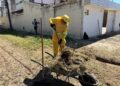 Mutirão de limpeza contra dengue deste sábado será no bairro Pio XII