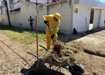 Mutirão de limpeza contra dengue deste sábado será no bairro Pio XII