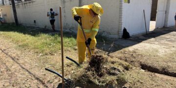 Mutirão de limpeza contra dengue deste sábado será no bairro Pio XII