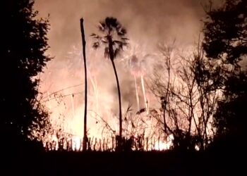 Corpo de Bombeiros combate incêndio e salvam animais em Oeiras