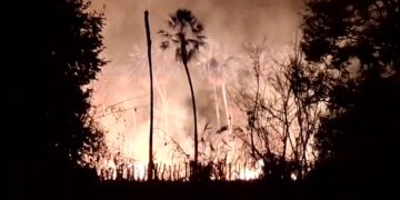 Corpo de Bombeiros combate incêndio e salvam animais em Oeiras