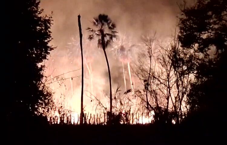 Corpo de Bombeiros combate incêndio e salvam animais em Oeiras