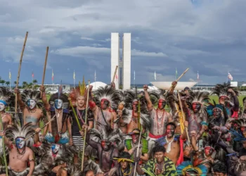 Eleições de 2026 registram recorde de candidaturas indígenas