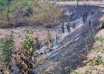Com avanço do período seco, Defesa Civil reforça alerta contra queimadas em Teresina