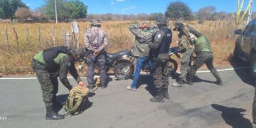 Operação Espera apreende madeira, aves silvestres e armas no Piauí