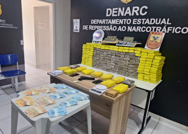 PM do PI e MA apreendem 200 quilos de drogas em operação em Teresina