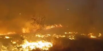 Grande incêndio atinge vegetação em São João da Canabrava; veja vídeo