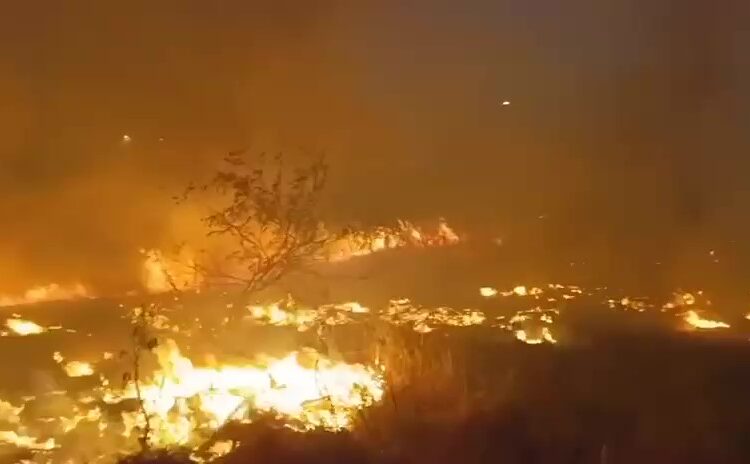 Grande incêndio atinge vegetação em São João da Canabrava; veja vídeo