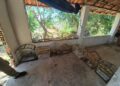 PM-PI e Ibama apreendem aves silvestres mantidas em cativeiro