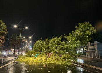 Teresina: forte chuva alaga ruas, derruba árvores e causa transtornos