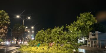 Teresina: forte chuva alaga ruas, derruba árvores e causa transtornos