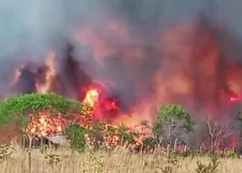 Grande incêndio atinge sítio no município de Bom Jesus, sul do Piauí