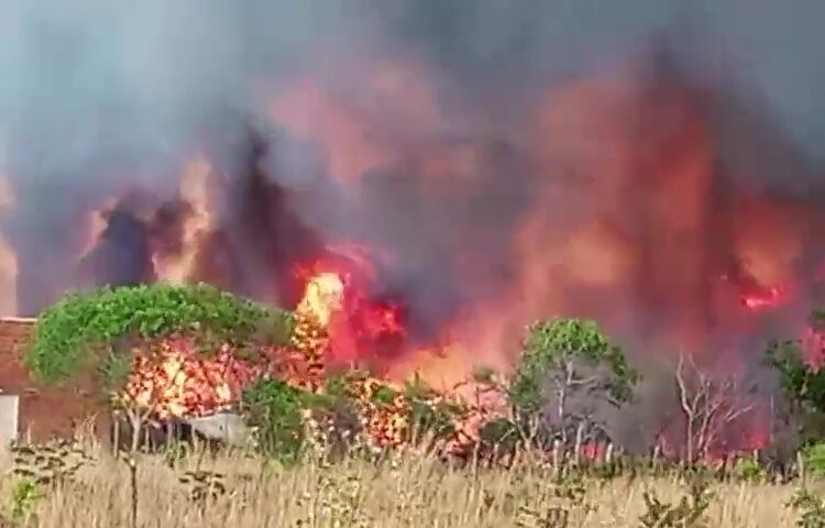 Grande incêndio atinge sítio no município de Bom Jesus; veja mostra desespero de morador