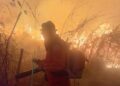 Piauí proíbe queimadas em imóveis rurais até 30 de outubro para prevenir incêndios florestais