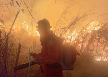 Piauí proíbe queimadas em imóveis rurais até 30 de outubro para prevenir incêndios florestais