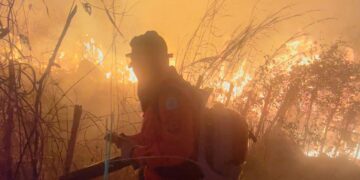 Piauí proíbe queimadas em imóveis rurais até 30 de outubro para prevenir incêndios florestais