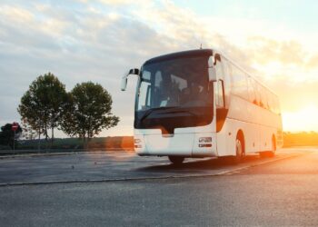 Saiba como garantir transporte intermunicipal gratuito para votar no 2° turno no Piauí