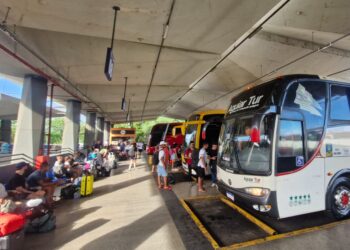 Transporte gratuito na eleição: confira o passo a passo para garantir viagem de ida e volta